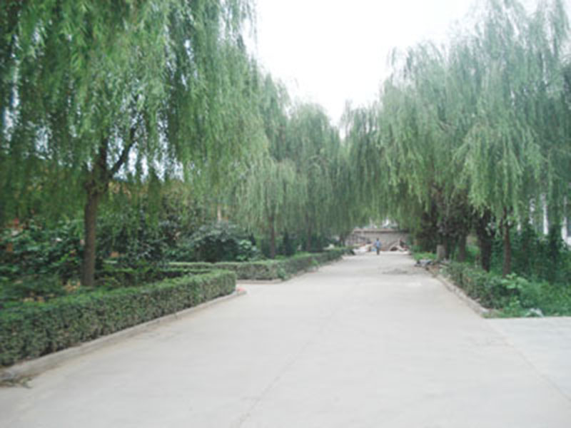 厂区
