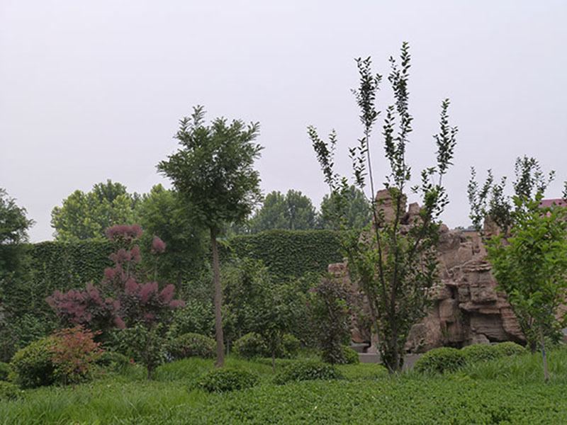 厂区