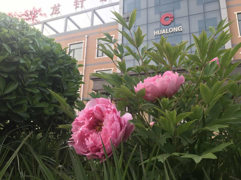 厂区